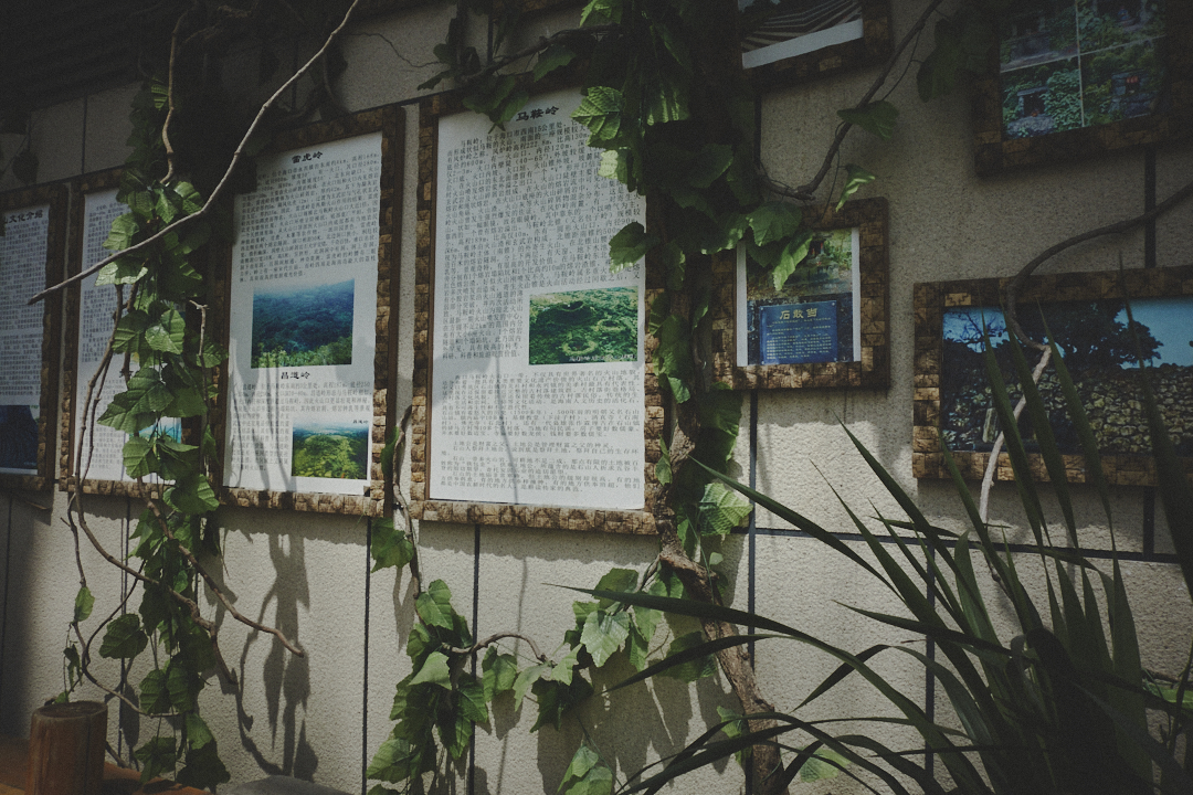 images/Documentary/2016haikou/13.jpg