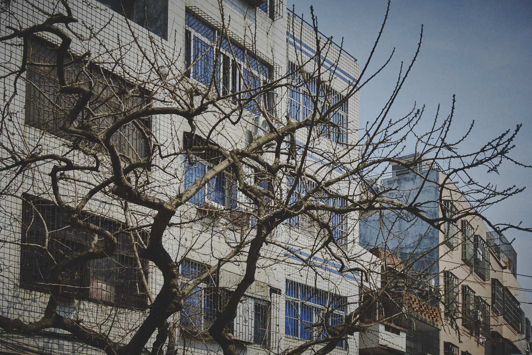 images/Documentary/2016haikou/21.jpg