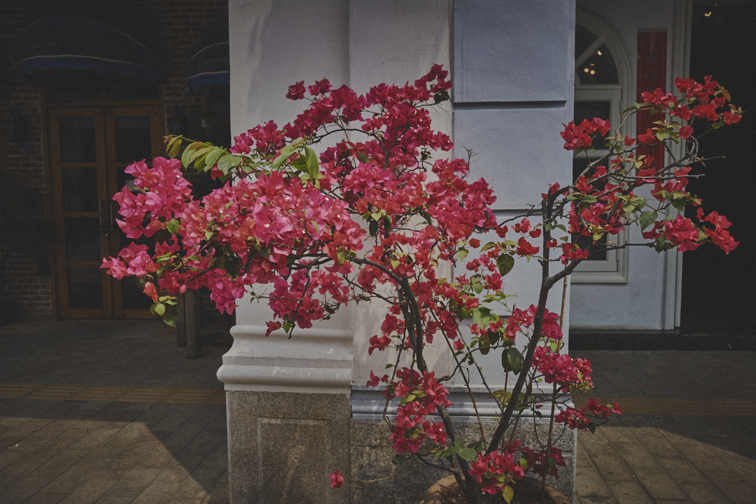 images/Documentary/2016haikou/43.jpg