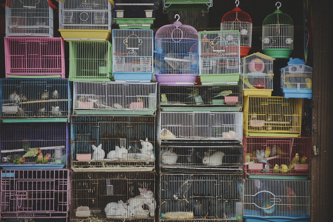 images/Documentary/2016haikou/57.jpg