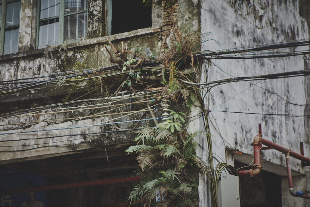 images/Documentary/2016haikou/60.jpg
