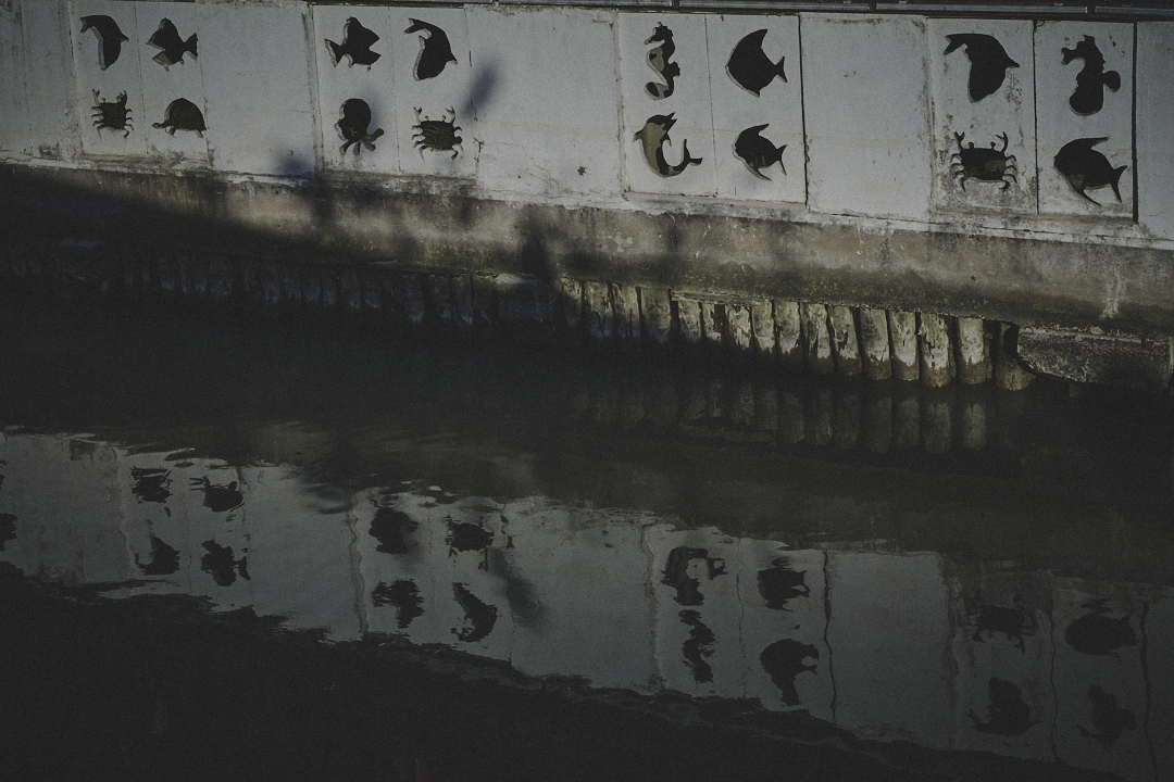 images/Documentary/2024jinshan1/18.jpg
